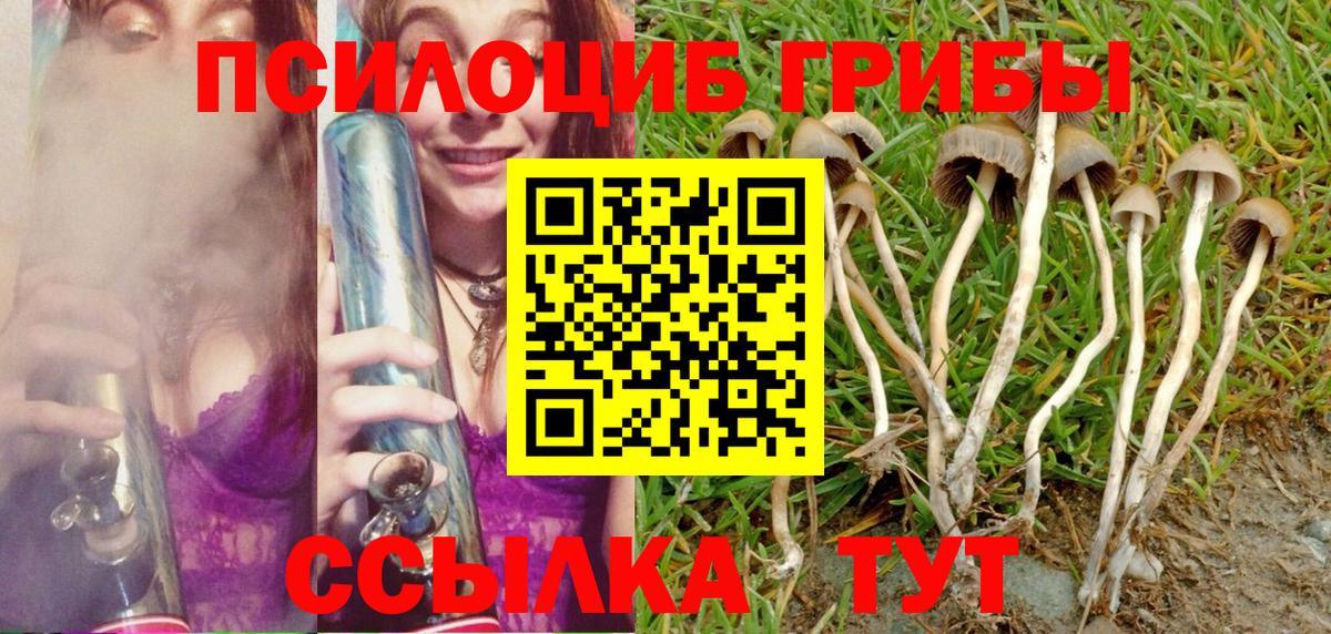 Галлюциногенные грибы Psilocybe Мелеуз