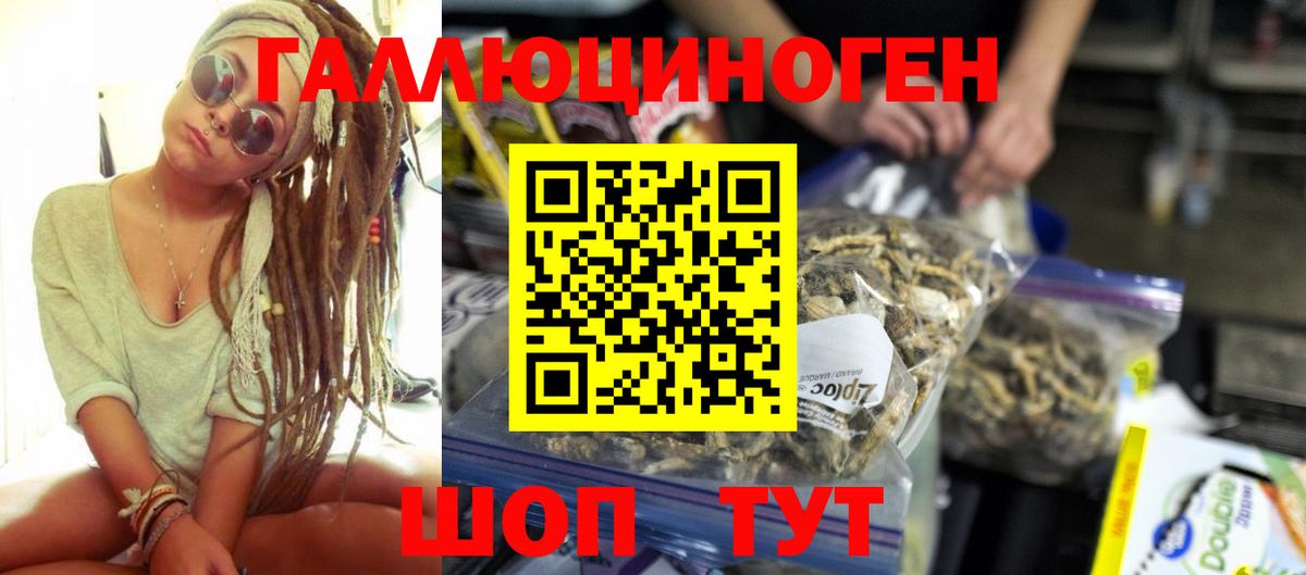 A PVP Мелеуз